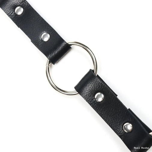 Anal Hooks EverydayUse and with Hook Kinky Leash 5853 Anal Collar 0128